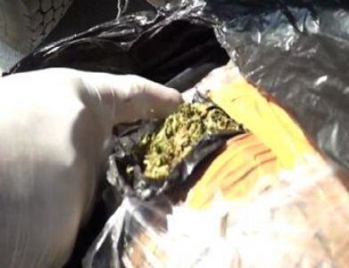 Kamyondaki Esrarı Narkotik Köpeği Buldu