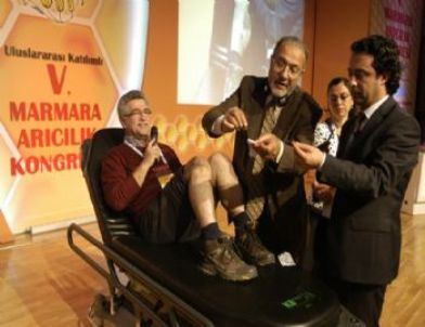 Arılar Profesörü Tedavi İçin Soktu