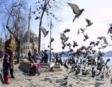 Çocuklara Oyun, Yaşlılara Uçup Giden Ömrü Hatırlatır Güvercinler (özel)
