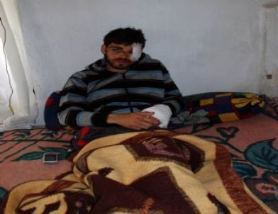 Domuz Sürüsüne Çarptı, İkinci Kez Ölümden Döndü