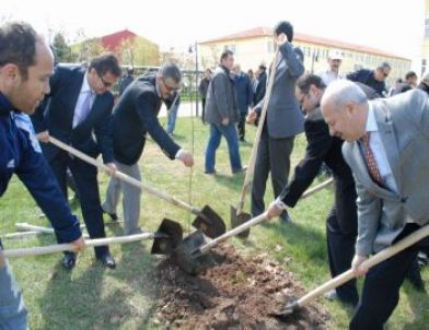 Bolvadin’de Hükümlüler ve Öğrenciler Fidan Dikti