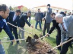 Bolvadin’de Hükümlüler ve Öğrenciler Fidan Dikti