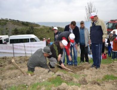 Vali Daşöz, Vergi Dairesi Personeliyle Uncubozköy’de Fidan Dikti