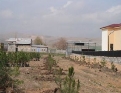 Akbayır Beldesine Yeşil Kuşak