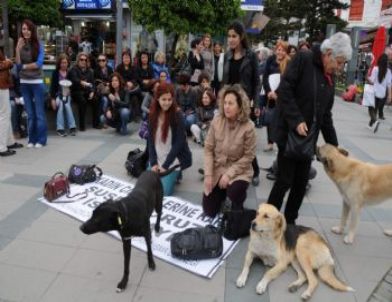 Antalyalı Kadınlar Kadın Cinayetlerini Protesto Etti