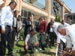 Cizre Çev-Der 50 Fidanı Toprakla Buluşturdu