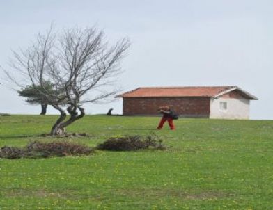 Doğada Görüntü Avcıları Niksar’da Buluşacak