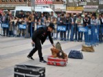 ROTTWEİLER - Eğitilmiş Polis Köpekleri K-9'lar Gösteri Yaptı