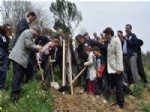 GÜLAY DALYAN - Kültür Derneğinden Okul Bahçesine Fidan Dikimi