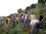 MEHMET ÖZDEMIR - Öğrenciler 200 Fidanı Toprakla Buluşturdu