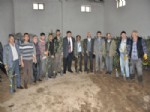 İSMAIL KAYA - Soma'da 10 Bin Adet Zeytin Fidanı Dağıtıldı
