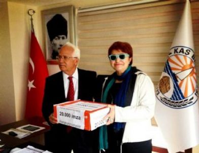 Tutsak Yunuslar İçin 20 Bin İmza Toplandı