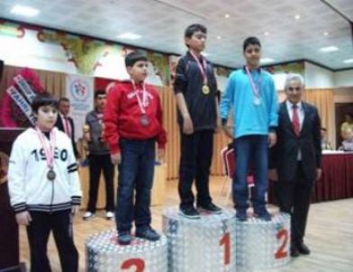 Ülkem Koleji Santranç Öğretmeni Goler, Başhakem Oldu