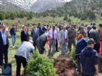 ABDULLAH ÇIFTÇI - Erzincan’da Bin Fidan Toprakla Buluşturuldu