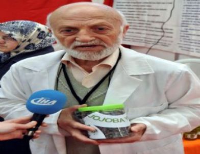 'jojoba, Radyasyon Yanığına Bile İyi Geliyor'