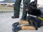 POLİS KÖPEĞİ - Polis köpeklerine pabuç