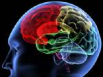 HIPERAKTIF - Alkolizme beyin görüntüleme engeli