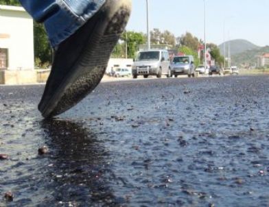 Antalya'da Asfalt Eriten Sıcaklar