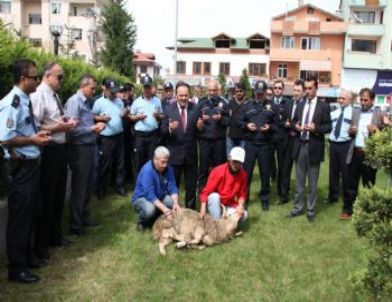 Sapanca Emniyet Müdürlüğü Kurban Kesti