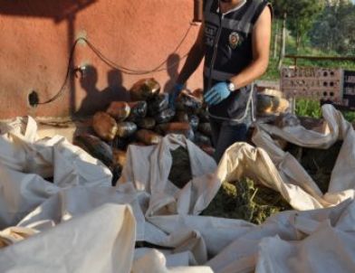 Tankerden Asfalt Yerine Esrar Çıktı