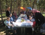 Ak Parti Kadın Kollarından Hıdırellez Pikniği