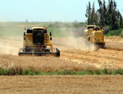 Didim’de 2013 Yılı Hasat Ücretleri Belli Oldu