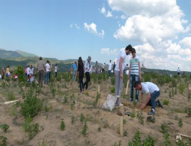 Üniversiteli Gençler Ormancılığı Öğrendi