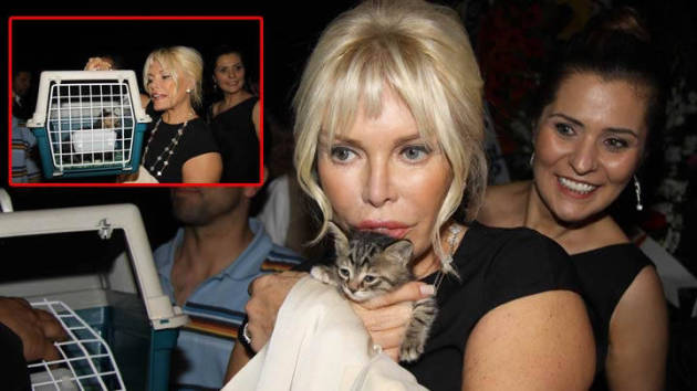 Ajda Pekkan'dan Örnek Davranış