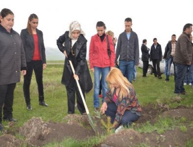 Ardahan’da Fidan Dikimi