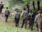DERSIM - PKK geziye katılan grubun önünü kesti ve...