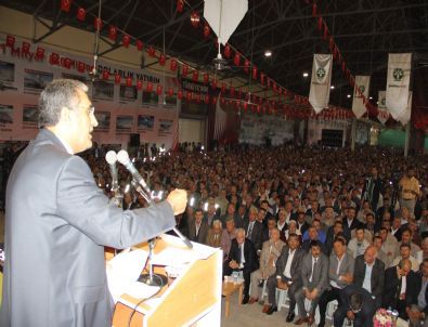 Recep Konuk, Güven Tazeledi