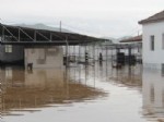 GERENKÖY - Şiddetli Yağmur Foça Köylerini Vurdu