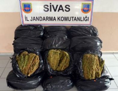 Sivas’ta 153 Kilo Esrar Ele Geçirildi