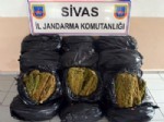 Sivas’ta 153 Kilo Esrar Ele Geçirildi