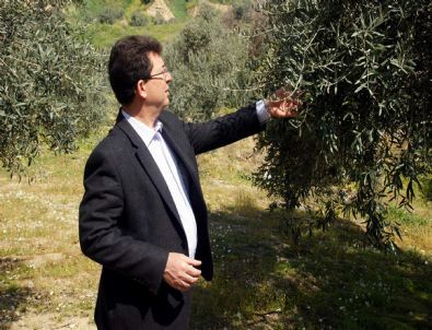 Ak Parti’li Kılınç, Üretimin Önemine Dikkat Çekti