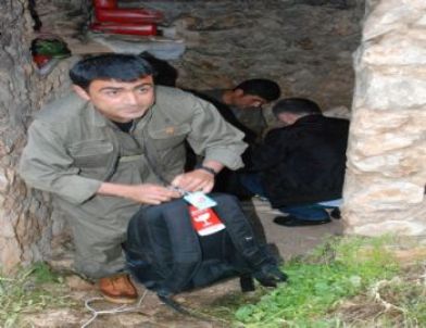 PKK’nın İlk Grupları Türkiye’den Ayrıldı
