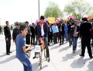 YYÜ’de Kiralık Eşeklerle Ulaşım Eylemi