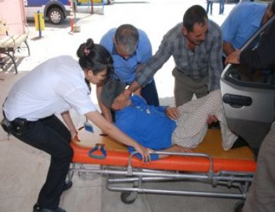 Keçi Otlatırken Kayalıklardan Düştü