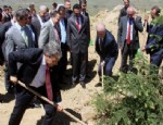 FERAMUZ ÜSTÜN - Kelkit’te Fidan Dikimi