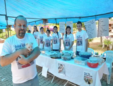 Kozan’da Sokak Hayvanları İçin Kermes Düzenlendi