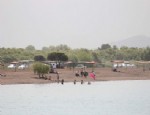 MANGAL KEYFİ - Beyşehir Gölünde Yüzme Keyfi