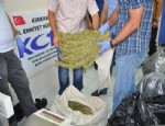 Kırıkkale’de 100 Kilo Esrar Ele Geçirildi