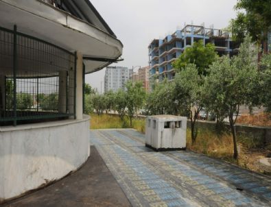 Manisa'da Camilerde Çevre Düzenleme Çalışmaları