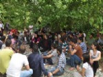 GABAR DAĞI - Öğrenciler Gabar Dağ Eteklerinde Piknik Yaptı