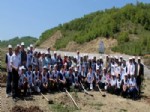 BEDİRHAN GÖKÇE - Gençlik Haftası Kutlamaları Ağaçlandırmayla Başladı
