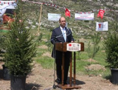 Madenciler 2023’e Kadar 1,5 Milyon Fidan Dikecek