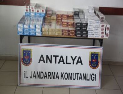 Manavgat'ta 4 Bin Paket Gümrük Kaçağı Sigara Ele Geçirildi