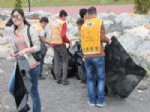 Öğrenciler Kozlu Sahilini Temizledi