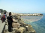 ÇEVRE İL MÜDÜRLÜĞÜ - Mersin'de Deniz Yüzeyinde Oluşan Sarı Tabaka, Vatandaşları Endişelendirdi