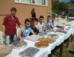 Küre'de ÇPL'de Kermes